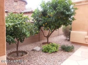 2249 E Aster Dr, Chandler, AZ 85286 photo 22