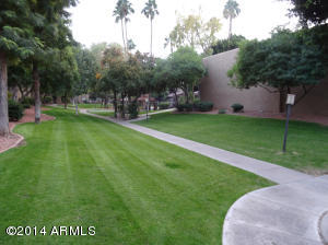 3825 E Camelback Rd #202, Phoenix, AZ 85018 photo 29
