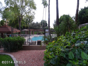 3825 E Camelback Rd #202, Phoenix, AZ 85018 photo 34