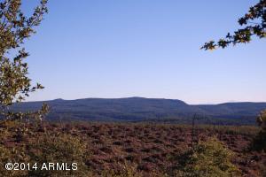 199 E Coues Deer Ln, Payson, AZ 85541 photo 31