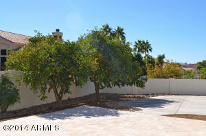 3405 E Piro Ct, Phoenix, AZ 85044 photo 60