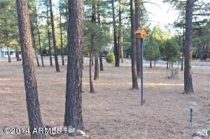 2084 Forest Park Dr, Overgaard, AZ 85933 photo 25