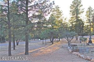 2084 Forest Park Dr, Overgaard, AZ 85933 photo 28