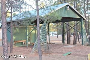 2084 Forest Park Dr, Overgaard, AZ 85933 photo 31