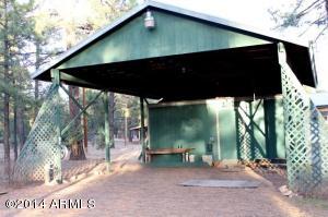 2084 Forest Park Dr, Overgaard, AZ 85933 photo 30