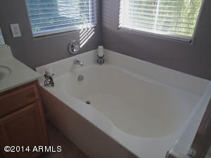 1196 E Julian Dr, Gilbert, AZ 85295 photo 14