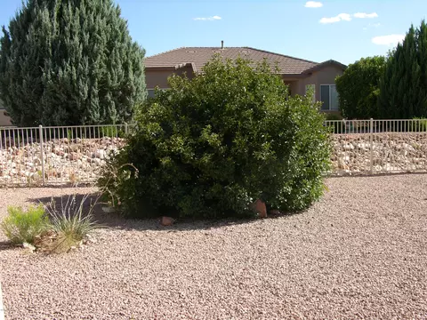 4965 E Night Hawk Dr, Cornville, AZ 86325 photo 25