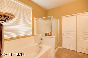 3511 E Coconino Way, Gilbert, AZ 85298 photo 39