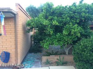 320 E Geneva Dr, Tempe, AZ 85282 photo 40