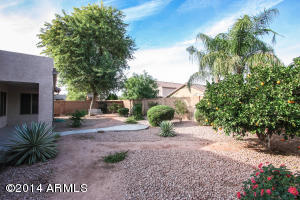 3320 E Ford Ave, Gilbert, AZ 85234 photo 33