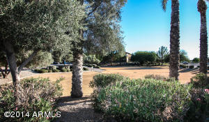 3320 E Ford Ave, Gilbert, AZ 85234 photo 3