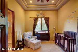 1710 E Tapestry Hts, Phoenix, AZ 85048 photo 64