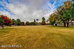 1049 El Freda Rd, Tempe, AZ 85284 photo 23