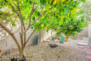 9420 E Mendoza Ave, Mesa, AZ 85209 photo 56