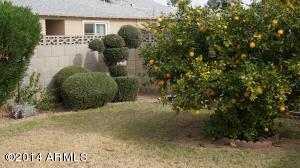 3916 E Joan De Arc Ave, Phoenix, AZ 85032 photo 16