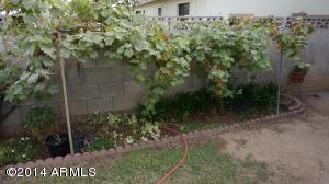 3916 E Joan De Arc Ave, Phoenix, AZ 85032 photo 11