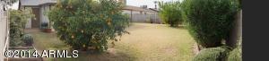 3916 E Joan De Arc Ave, Phoenix, AZ 85032 photo 33