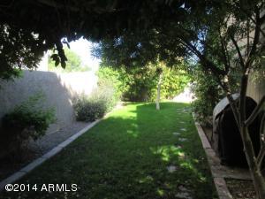 1831 S Cholla --, Mesa, AZ 85202 photo 18