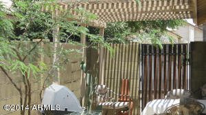 3033 E Michigan Ave, Phoenix, AZ 85032 photo 11