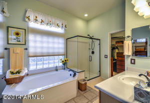 39018 N 8th St, Phoenix, AZ 85086 photo 30