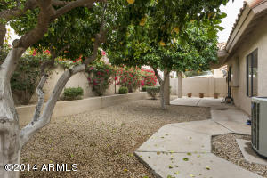 4428 E Annette Dr, Phoenix, AZ 85032 photo 5