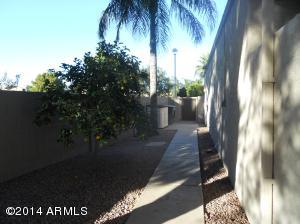 4501 E Cortez St, Phoenix, AZ 85028 photo 39