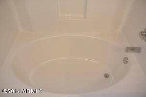 3320 W Apollo Rd, Phoenix, AZ 85041 photo 23