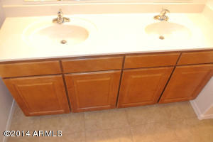 3320 W Apollo Rd, Phoenix, AZ 85041 photo 22