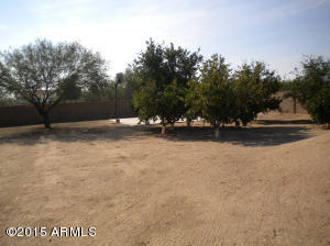817 E Blue Eagle Ln, Phoenix, AZ 85086 photo 55
