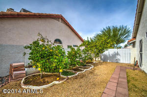 3417 E Le Marche Ave, Phoenix, AZ 85032 photo 22
