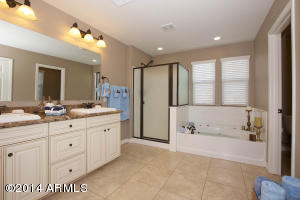 3833 E Amber Ln, Gilbert, AZ 85296 photo 19
