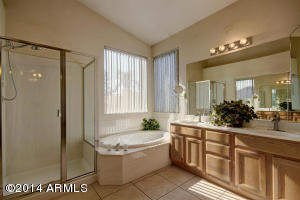 2402 S Revolta St, Mesa, AZ 85209 photo 22