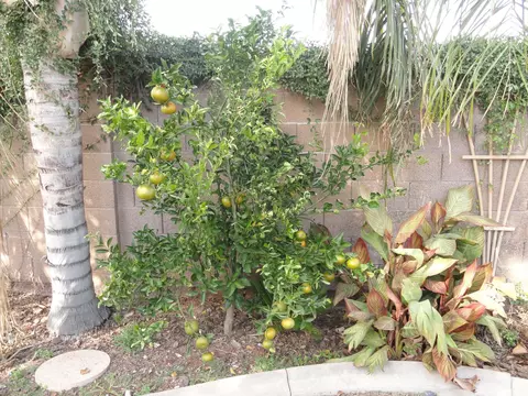 3314 E Vaughn Ave, Gilbert, AZ 85234 photo 70