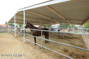 2619 E Washington Ave, Gilbert, AZ 85234 photo 44