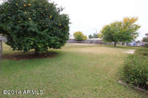 2619 E Washington Ave, Gilbert, AZ 85234 photo 36