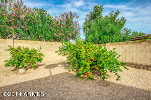 2248 E Sahuaro Dr, Phoenix, AZ 85028 photo 34