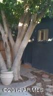 1322 E Catalina Dr, Phoenix, AZ 85014 photo 29