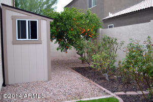 5035 E Diamond Ave, Mesa, AZ 85206 photo 8