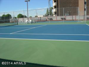 513 S Ogden --, Mesa, AZ 85206 photo 18