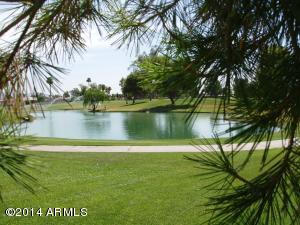 513 S Ogden --, Mesa, AZ 85206 photo 21
