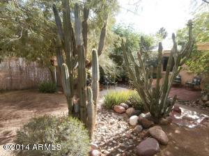 1220 E Mercer Ln, Phoenix, AZ 85020 photo 32
