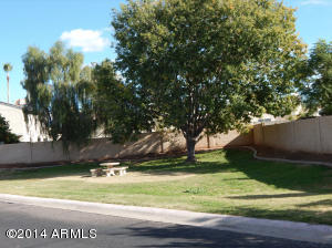 619 E Jensen St #44, Mesa, AZ 85203 photo 36