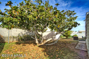 502 E Charleston Ave, Phoenix, AZ 85022 photo 23
