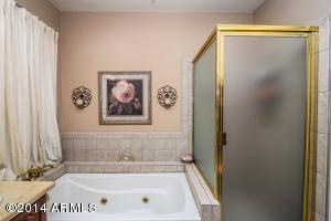 3340 E Tanglewood Dr, Phoenix, AZ 85048 photo 15