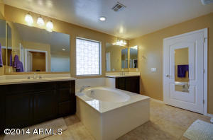 1455 E Ibis St, Gilbert, AZ 85297 photo 6