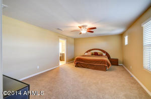 1455 E Ibis St, Gilbert, AZ 85297 photo 66