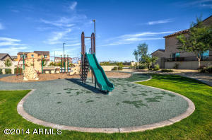 1455 E Ibis St, Gilbert, AZ 85297 photo 16