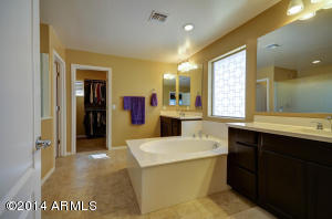 1455 E Ibis St, Gilbert, AZ 85297 photo 71