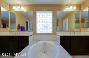 1455 E Ibis St, Gilbert, AZ 85297 photo 70