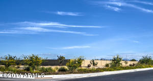 1455 E Ibis St, Gilbert, AZ 85297 photo 89